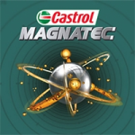 0607467006-castrol-magnatec-5w-20-e-ford-208l-b5-0